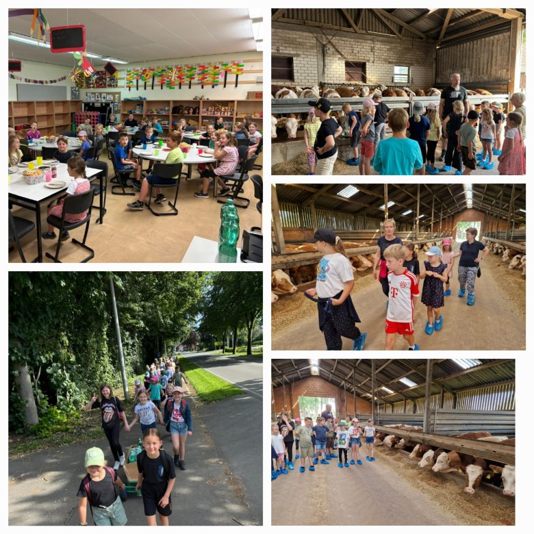 Excursie naar de boerderij Excursie naar de boerderij